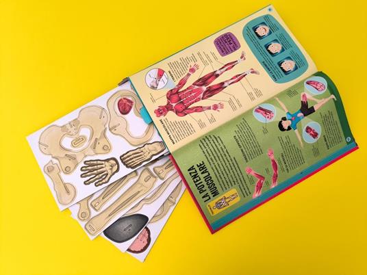 Costruisci il tuo scheletro e scopri come funziona il corpo umano. Ediz. a colori. Con modellino da costruire - Richard Walker - 5