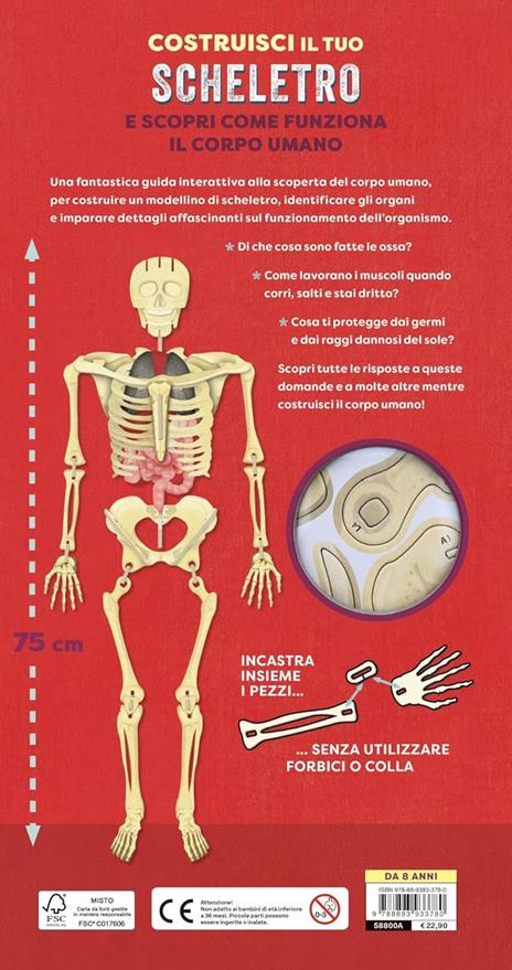 Costruisci il tuo scheletro e scopri come funziona il corpo umano. Ediz. a colori. Con modellino da costruire - Richard Walker - 6