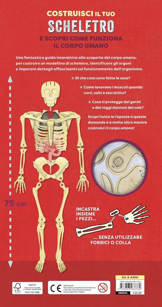 Costruisci il tuo scheletro e scopri come funziona il corpo umano. Ediz. a colori. Con modellino da costruire - Richard Walker - 6