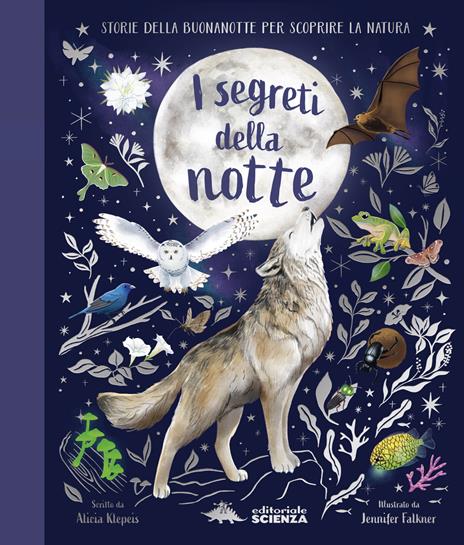 I segreti della notte. Storie della buonanotte per scoprire la natura. Ediz. a colori - Alice Kepleis - copertina