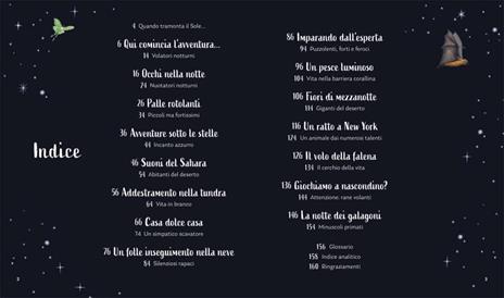 I segreti della notte. Storie della buonanotte per scoprire la natura. Ediz. a colori - Alice Kepleis - 4