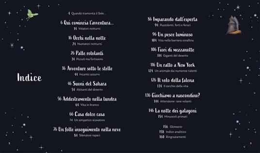 I segreti della notte. Storie della buonanotte per scoprire la natura. Ediz. a colori - Alice Kepleis - 4