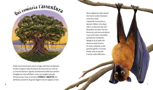 I segreti della notte. Storie della buonanotte per scoprire la natura. Ediz. a colori - Alice Kepleis - 6