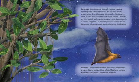 I segreti della notte. Storie della buonanotte per scoprire la natura. Ediz. a colori - Alice Kepleis - 7
