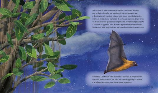 I segreti della notte. Storie della buonanotte per scoprire la natura. Ediz. a colori - Alice Kepleis - 7