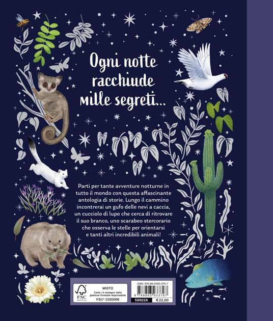 I segreti della notte. Storie della buonanotte per scoprire la natura. Ediz. a colori - Alice Kepleis - 8