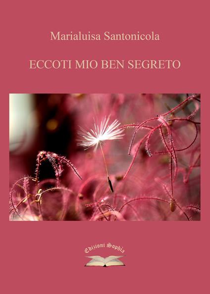 Eccoti mio ben segreto - Marialuisa Santonicola - copertina