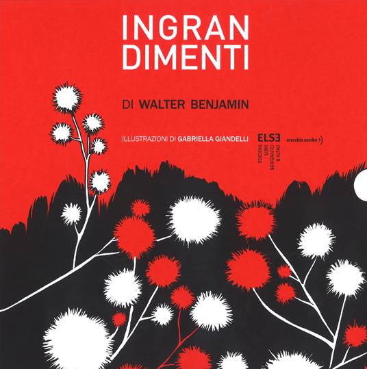 Ingrandimenti. Ediz. limitata - Walter Benjamin - copertina