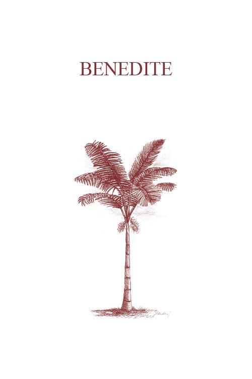 Benedite - Claudia Locatelli - copertina