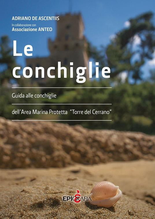 Le conchiglie. Guida alle conchiglie dell'area marina protetta "Torre del Cerrano" - Adriano De Ascentiis - copertina