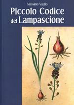 Piccolo codice del lampascione