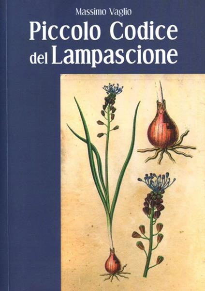 Piccolo codice del lampascione - Massimo Vaglio,Gabriele Arnaldo - copertina
