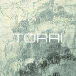 Torri. Ediz. italiana e inglese