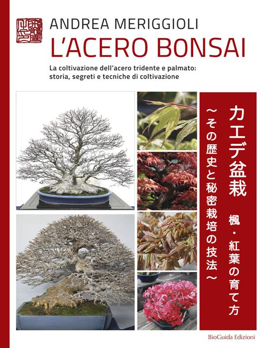 L' acero bonsai. La coltivazione dell'acero tridente e palmato: storia, segreti e tecniche di coltivazione - Andrea Meriggioli - copertina