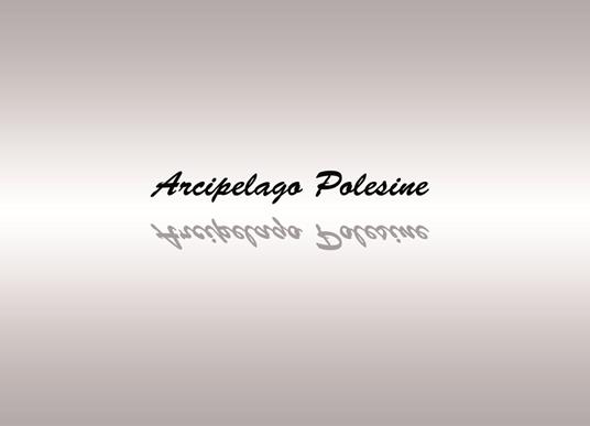 Arcipelago Polesine. Ediz. illustrata - Flavio Castellani - copertina