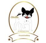 Otello. French bulldog