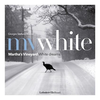 MV White. Martha's Vineyard white dreams. Ediz. italiana e inglese - Giorgio Stefano Rocco - copertina