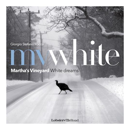 MV White. Martha's Vineyard white dreams. Ediz. italiana e inglese - Giorgio Stefano Rocco - copertina