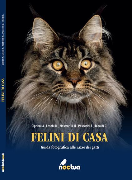 Felini di casa. Guida fotografica alle razze dei gatti - Alice Cipriani,M. Loschi,Marco Mastrorilli - copertina