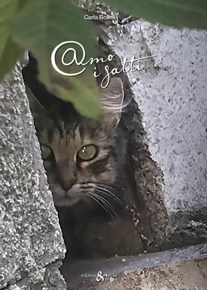 Amo i gatti - Carla Bollini - copertina