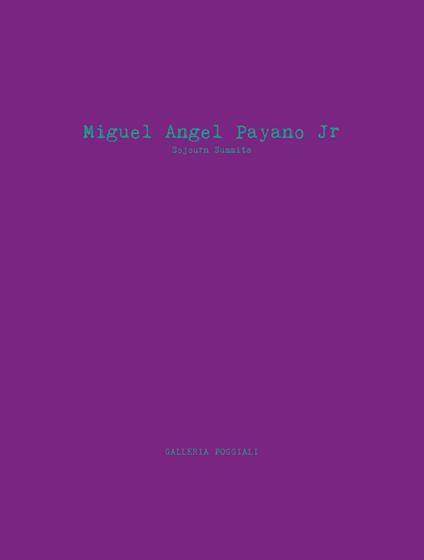 Sojourn Summits. Ediz. italiana e inglese - Miguel Angel Payano jr. - copertina