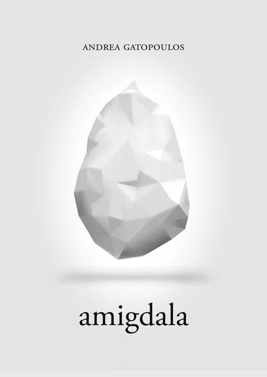 Amigdala - Andrea Gatopoulos - copertina