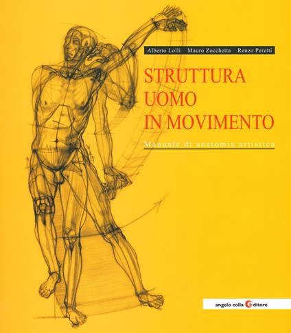 Struttura uomo in movimento. Manuale di anatomia artistica - Alberto Lolli,Mauro Zocchetta,Renzo Peretti - copertina