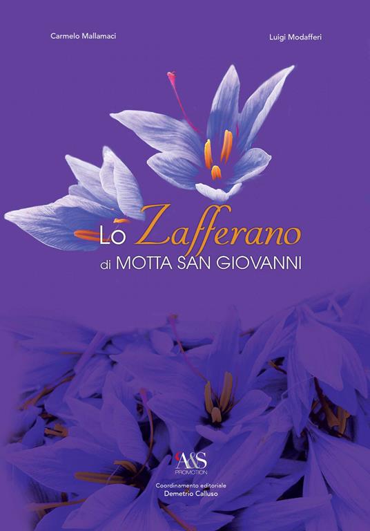 Lo zafferano di Motta San Giovanni - Carmelo Mallamaci,Luigi Modafferi - copertina