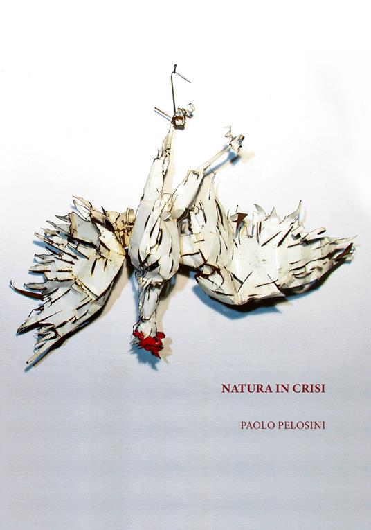 Natura in crisi - Paolo Pelosini - copertina