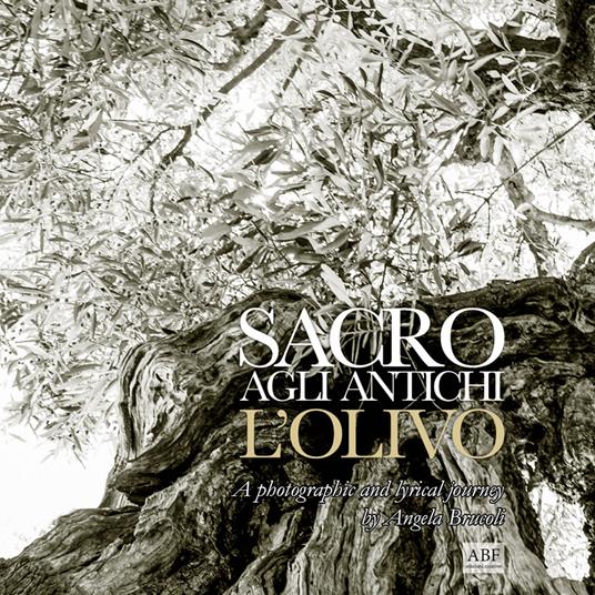 Sacro agli antichi, l'olivo. A photographic and lyrical journey - Angela Brucoli - copertina