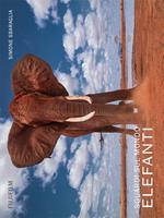 Sguardi sul mondo: elefanti. Ediz. illustrata