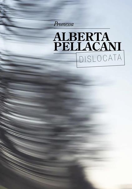 Alberta Pellacani. Promessa. Catalogo della mostra (Modena, 28 settembre-20 ottobre 2019). Ediz. italiana e inglese - copertina