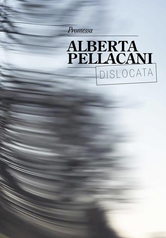 Alberta Pellacani. Promessa. Catalogo della mostra (Modena, 28 settembre-20 ottobre 2019). Ediz. italiana e inglese - copertina