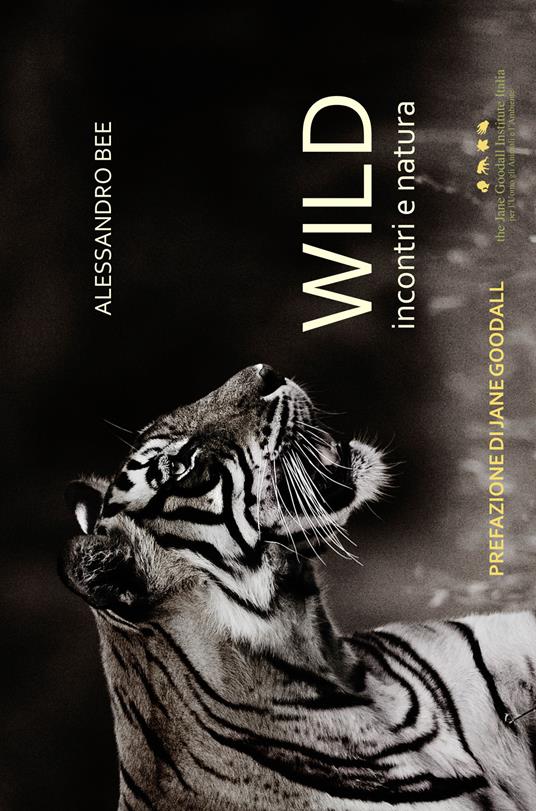 Wild. Incontri e natura. Ediz. illustrata - Alessandro Bee - copertina