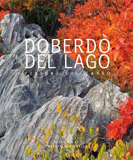 Doberdò del Lago. Visioni sul Carso. Ediz. italiana, inglese e slovena - Lucio Tolar - copertina