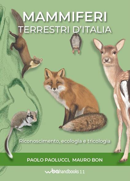 Mammiferi terrestri d'Italia - copertina