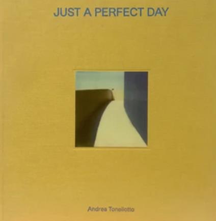 Just a perfect day. Ediz. italiana e inglese - Andrea Tonellotto - copertina