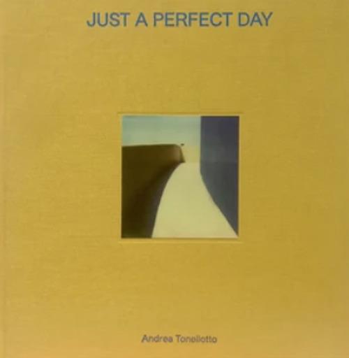 Just a perfect day. Ediz. italiana e inglese - Andrea Tonellotto - copertina
