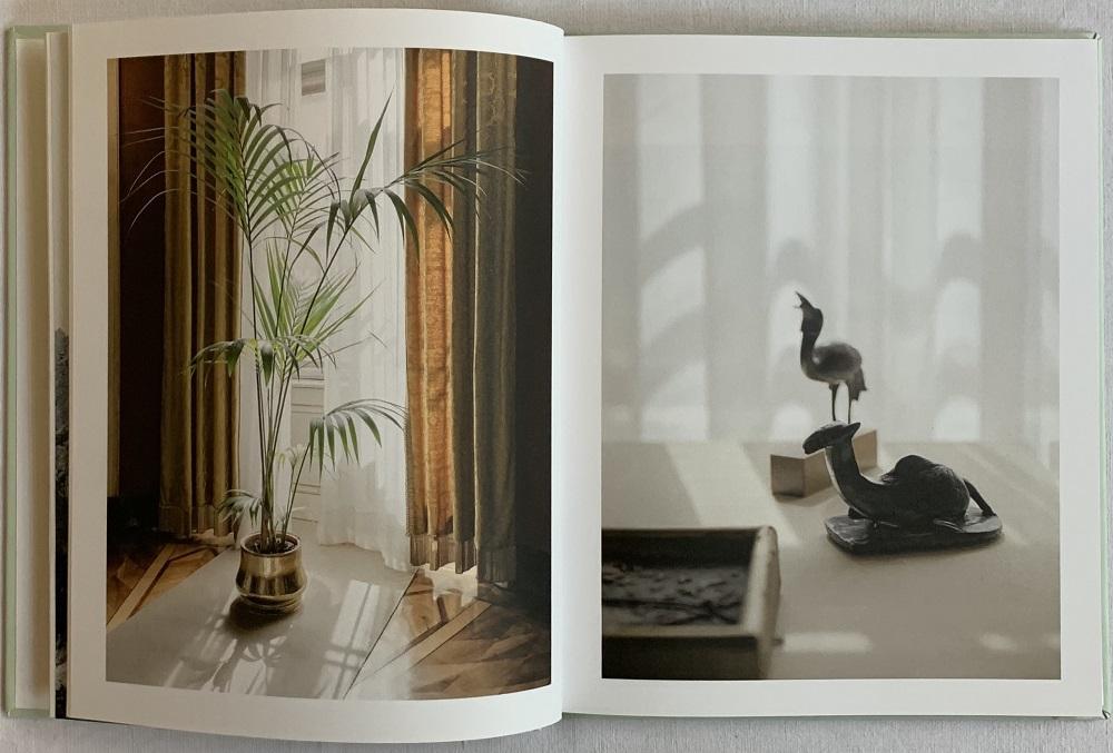 Continuo infinito provvisorio. Ediz. bilingue