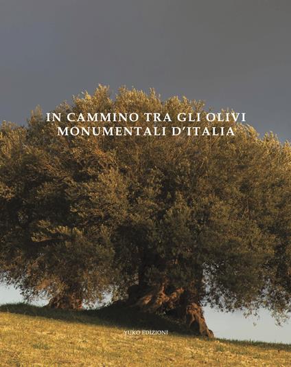 In cammino tra gli olivi monumentali d'Italia. Ediz. illustrata - Yuko Okuma,Sara Sargenti - copertina