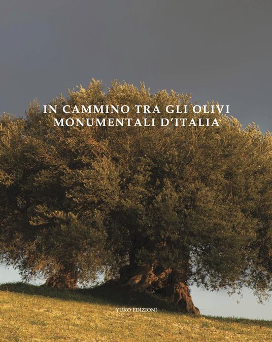 In cammino tra gli olivi monumentali d'Italia. Ediz. illustrata - Yuko Okuma,Sara Sargenti - copertina