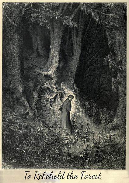 To rebehold the forest. A post-eschatological apocalypse RPG - Am.Homunculus - copertina