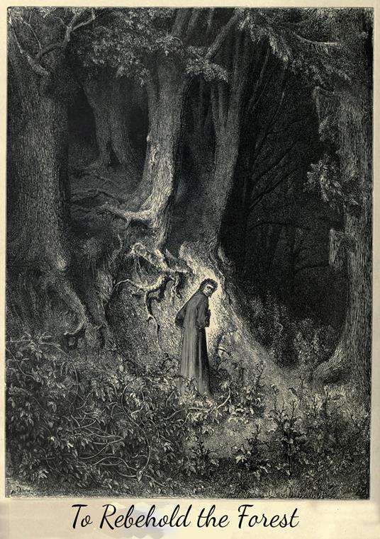 To rebehold the forest. A post-eschatological apocalypse RPG - Am.Homunculus - copertina