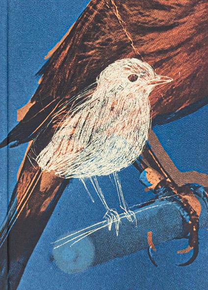 Tout va bien. Cahier d'animaux à Paris. Ediz. illustrata - Vera Muratet - copertina