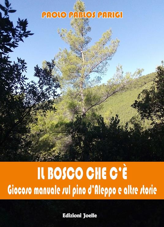 Il bosco che c'è. Giocoso manuale in tre racconti - Paolo Parigi - copertina