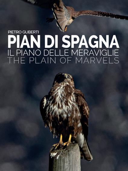 Pian di Spagna. Il piano delle meraviglie-The plain of marvels - Pietro Guberti - copertina