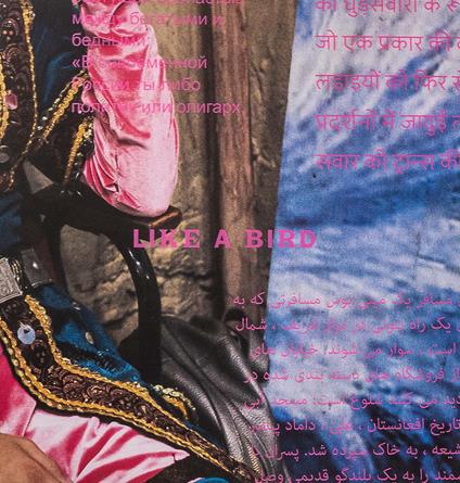 Like a bird. Circus. Ediz. multilingue - Johanna Maris Fritz - copertina