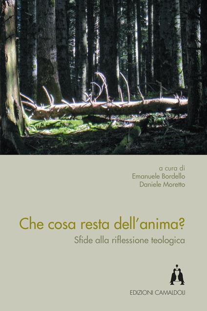 Che cosa resta dell'anima? Sfide alla riflessione teologica - copertina