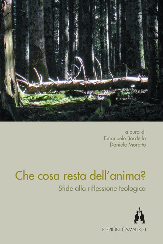 Che cosa resta dell'anima? Sfide alla riflessione teologica - copertina