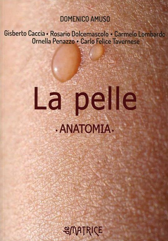 La pelle. Anatomia - Domenico Amuso - copertina